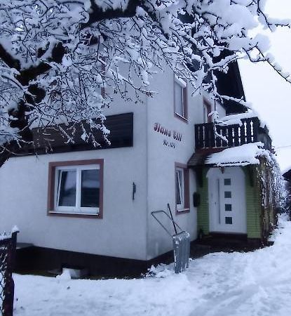 Haus Elli Apartment Greifenburg Bagian luar foto