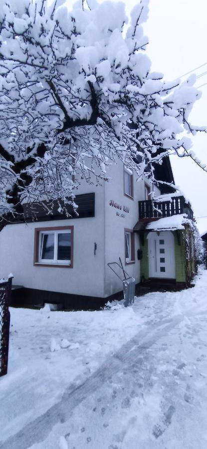 Haus Elli Apartment Greifenburg Bagian luar foto