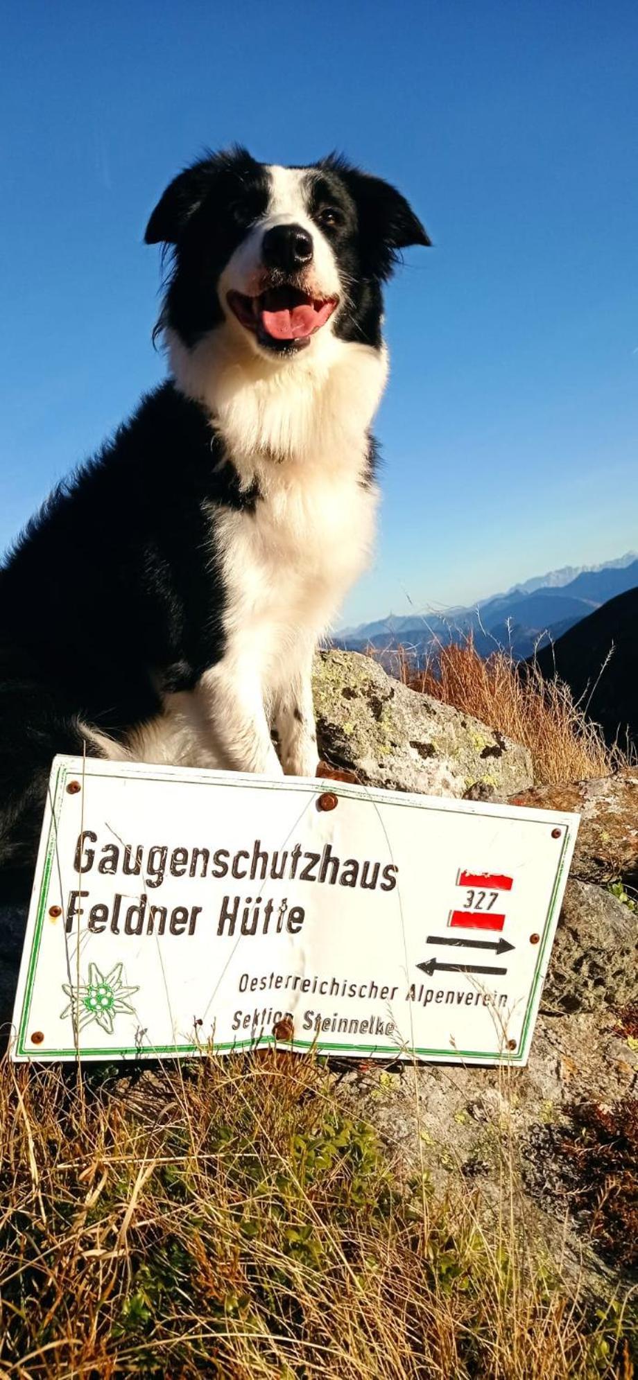 Haus Elli Apartment Greifenburg Bagian luar foto